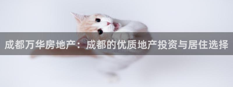 万向娱乐app