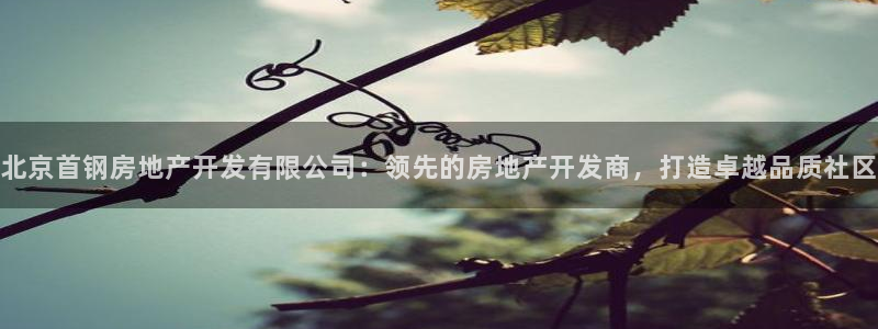 万向娱乐技术分享