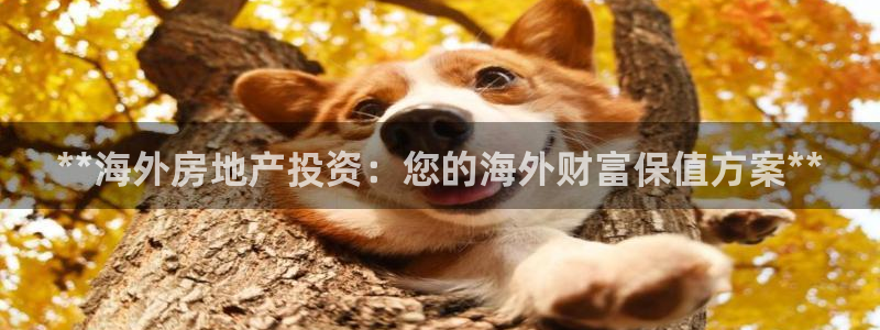 万向娱乐官网下载安装
