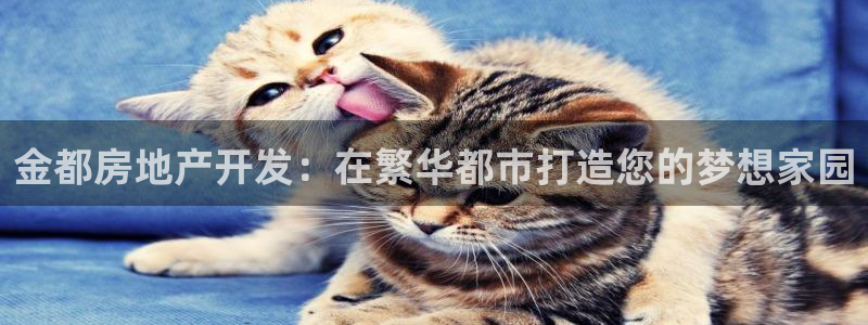 万能娱乐平台直招代理