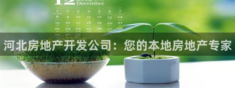 万向娱乐挂机