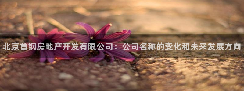 万象游戏代理