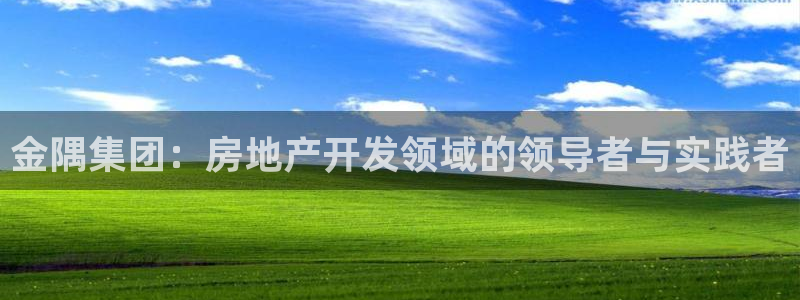 万向娱乐的494o3 主管