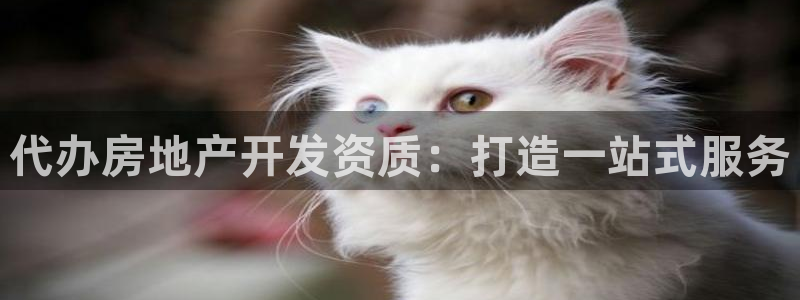万向娱乐平台代理怎么样