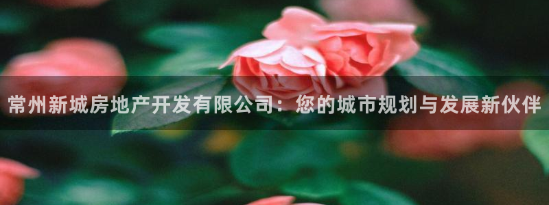 万向娱乐技术分享