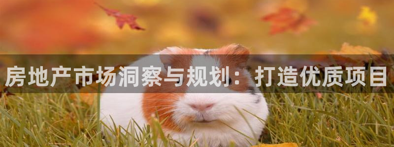 万向娱乐app下载苹果版