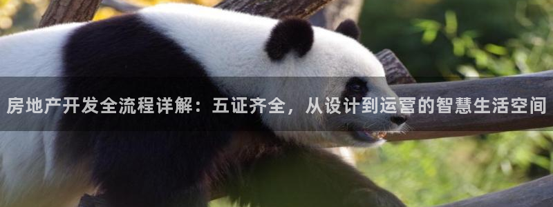 万向娱乐总代
