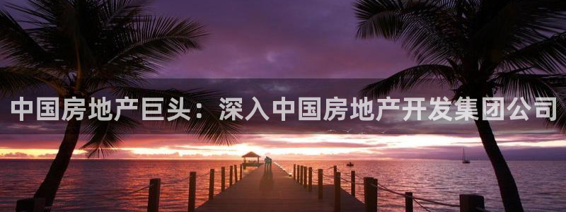 万向娱乐灯333OO