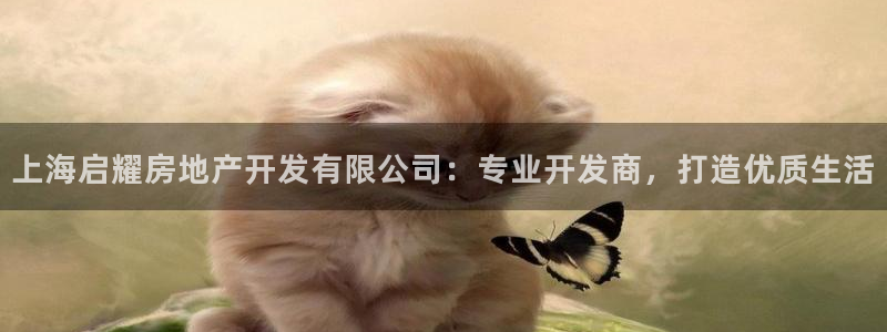 万向娱乐的联系方式